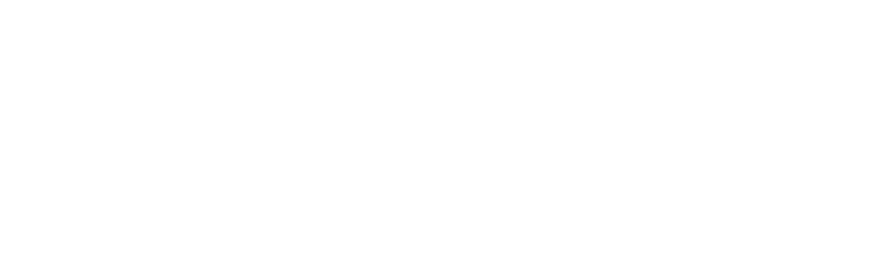 Konduto